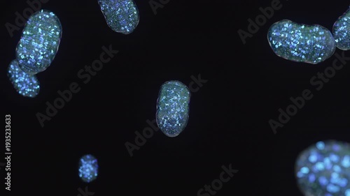 Mitochondria, animation