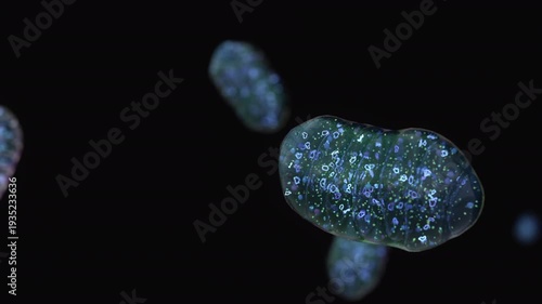 Mitochondria, animation