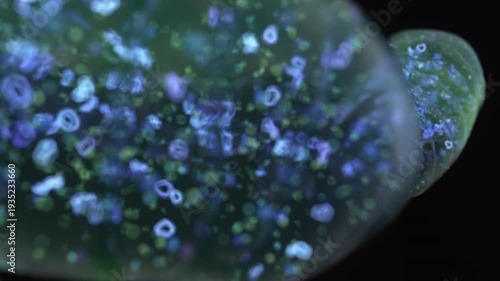 Mitochondria, animation