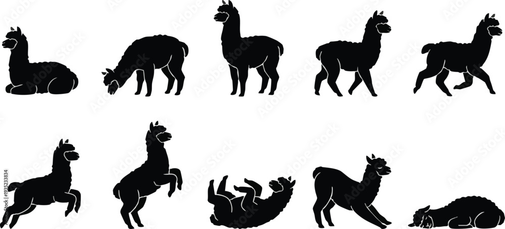 Fototapeta premium Alpaca Silhouettes in Various Poses.