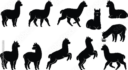Silhouette of Various Llamas in Different Poses.