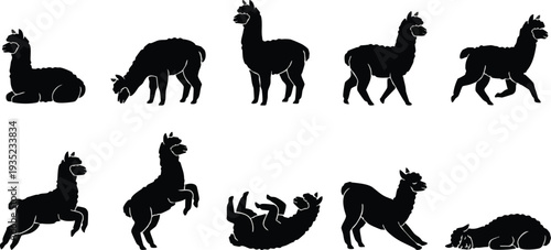 Alpaca Silhouettes in Various Poses.
