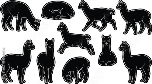 Silhouette of Llamas in Various Poses.