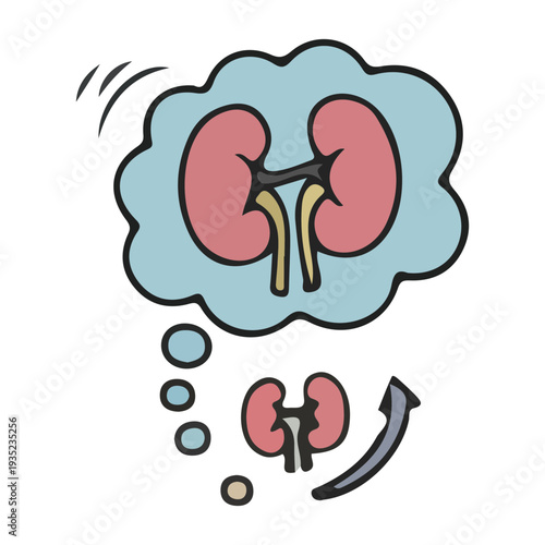 Kidney health concept illustration