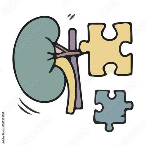 Kidney Puzzle Concept Illustration