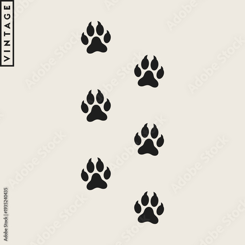 Animal paw prints