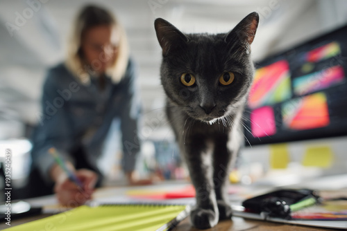 Black cat walks on desk while woman works in design studio