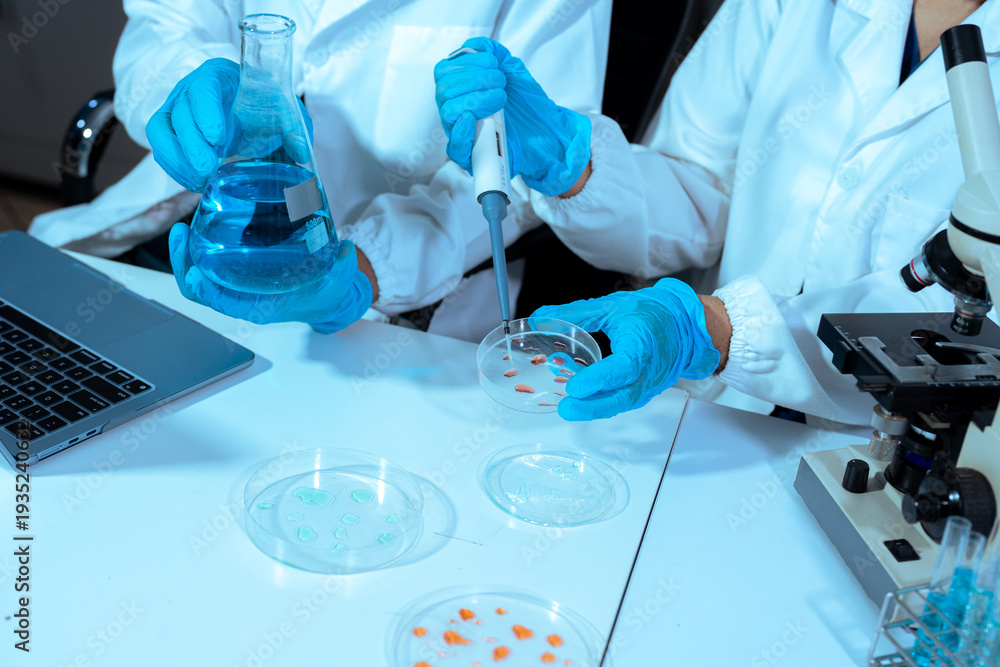 Fototapeta premium Scientist mixing chemical liquids in the chemistry lab. Researcher working in the chemical laboratory.