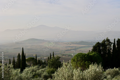 Golden Autumn Morning in Val d’Orcia near Pienza, Tuscany, Italy