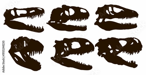 Set of skulls of ancient dinosaurs.