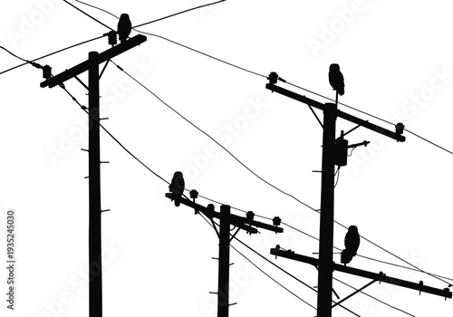 Silhouette utility poles with birds, power lines, urban infrastructure, electricity distribution, energy grid, overhead wires, black and white 