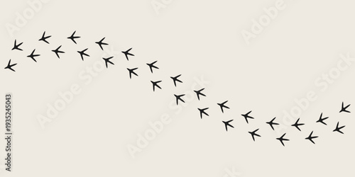 Rooster paw prints vector. Birds paw prints 