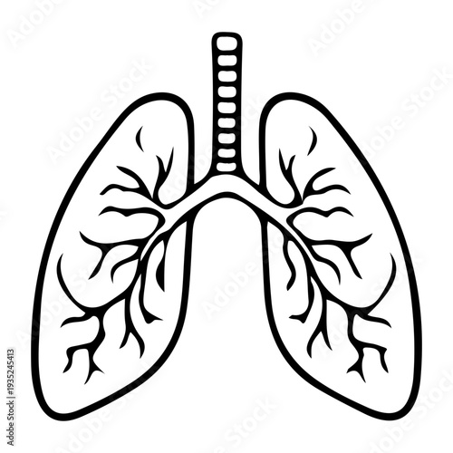 Human Lungs Outline Icon