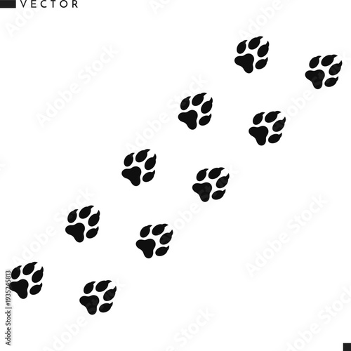 Fox paw prints vector. Animal paw prints silhouette