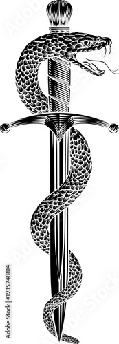 A dagger knife with snake wrapped around it in a vintage woodcut engraved etching tattoo illustration style