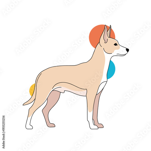 Slender pharaoh hound stands elegantly in profile against a modern background of bright orange and blue circles in a minimalist dog portrait.