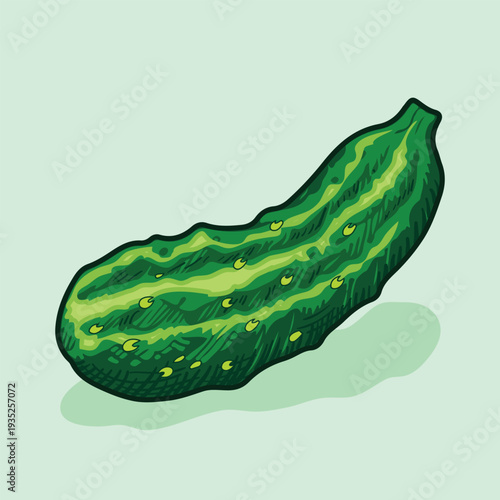 Fresh pickle vector drawing vegetable healthy eating natural food ingredient green color