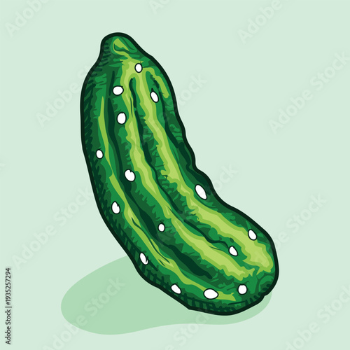 Fresh green pickle vector art organic healthy food vegetable ingredient for salads