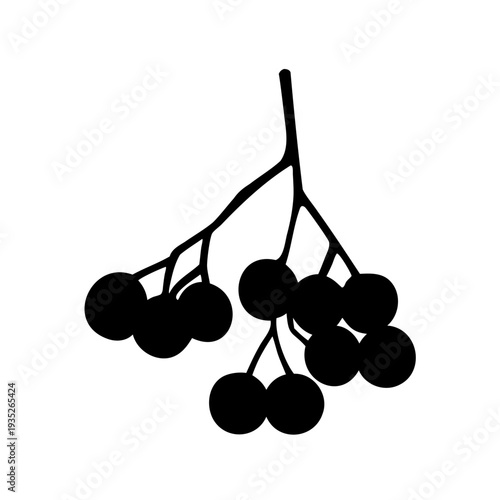 Silhouette illustration of a bunch of berries on a branch against white