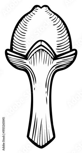 Illustration of a single clove spice isolated in black and white