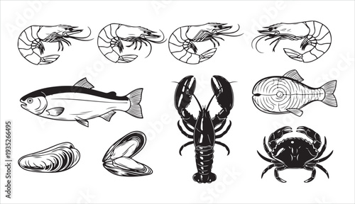 Hand drawn isolated vector set of seafood. Shrimps, prawns, salmon, trout, mussels, lobster and crab. Vintage illustrations on white background for cafe or restaurant menu, kitchen poster or placard