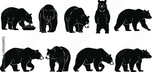 Black bear silhouette collection featuring grizzly and brown bears standing walking and hunting in different poses for wilderness nature design (20 words)