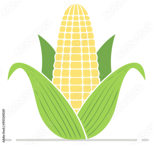 Vibrant Flat Design Ear of Corn Illustration Fresh Yellow Cob Green Husk