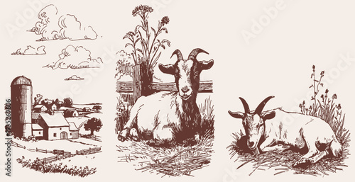 Farm animals goat and barn countryside scenes. Graphic for food packaging and agricultural identity. Vector pencil drawing style showing livestock, village buildings, and rural environment.