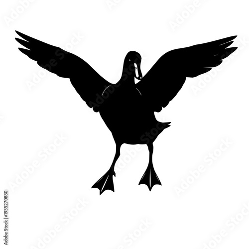 black duck silhouette with detailed wing tips and webbed feet visible, ideal for nature, wildlife, and aerial photography visuals