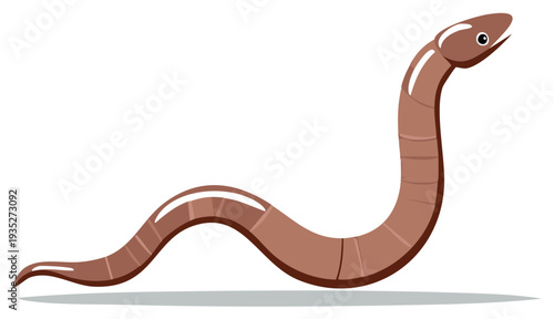 Illustration of a cartoon earthworm in a curved pose with highlights and shadows.