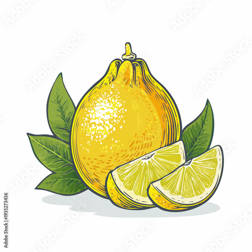 A vibrant illustration of a lemon with sliced segments and leaves, showcasing citrus freshness from a close-up viewpoint
