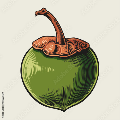 Illustration of a green fruit with a stem, showcasing a detailed drawing of a tropical fruit in a simple style
