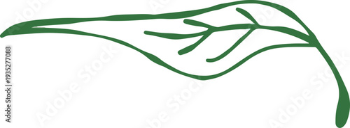 set of whimsical hand drawn leaves, grass, tree, bush clipart collection