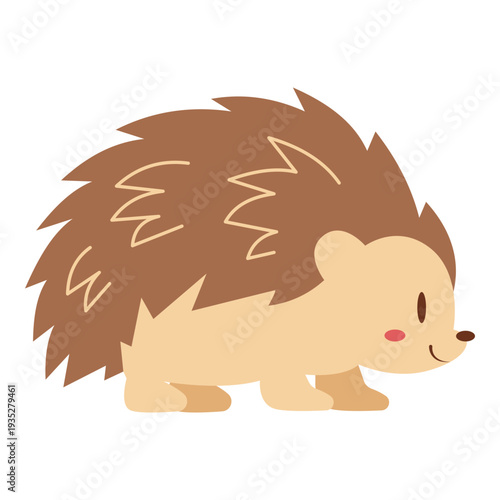 Hedgehog illustration is suitable for animal or pets.