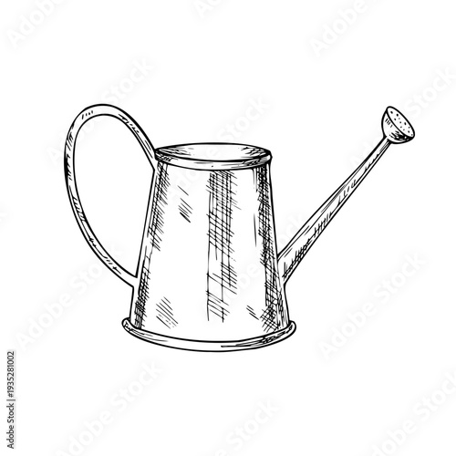 Vector garden watering can. Graphic hand drawn pitcher illustration isolated on background. Botanical and clip art. For greeting card, wallpaper, wrapping paper design, textile, scrapbooking
