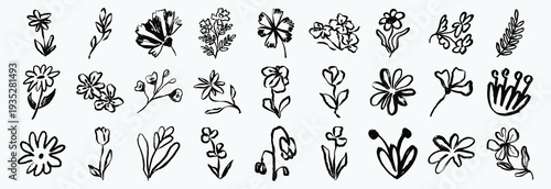 Flower abstract hand drawn brush ink stroke. Sketch hand drawn silhouette floral plant, nature graphic leaf, floral grunge abstract brush. Vector simple flower, leaf ink stroke. Vector illustration