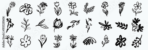 Flower abstract hand drawn brush ink stroke. Sketch hand drawn silhouette floral plant, nature graphic leaf, floral grunge abstract brush. Vector simple flower, leaf ink stroke. Vector illustration