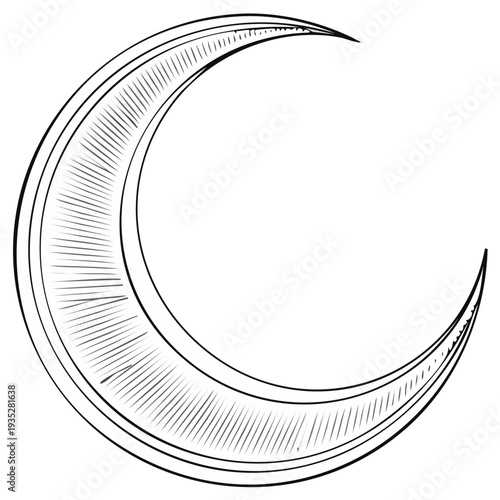 Crescent moon illustration with detailed engraved lines