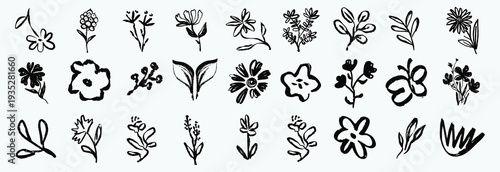 Flower abstract hand drawn brush ink stroke. Sketch hand drawn silhouette floral plant, nature graphic leaf, floral grunge abstract brush. Vector simple flower, leaf ink stroke. Vector illustration