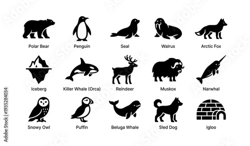 Silhouettes of arctic animals: polar bear, penguin, seal, walrus, and more