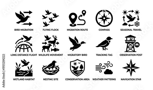 Bird migration icons: directional symbols for seasonal flight and environmental protection