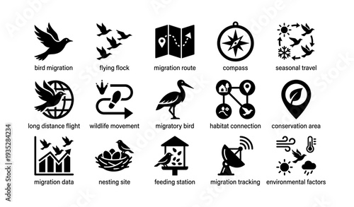 Bird migration icons: navigation, habitat, conservation, seasonal travel symbols
