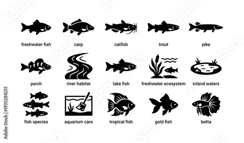 Icons of freshwater fish and aquatic habitats: carp, trout, betta, and more