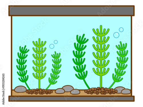シンプルな水槽と水草のイラスト素材
