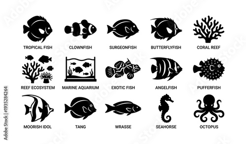 Silhouettes of tropical fish and marine life in aquarium setting