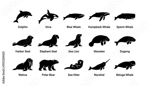 Silhouettes of marine mammals: dolphins, whales, seals, and more