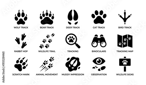 Wildlife tracking icons: paw, claw, and hoof prints with observation tools