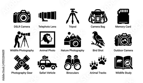Wildlife photography equipment and icon set showcasing cameras, lenses, and adventure symbols