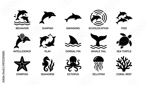 Marine animal icons: dolphins, sea life behavior, and ocean symbols