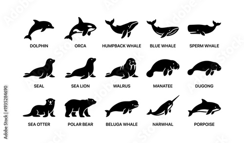 Silhouette icons of marine mammals: whales, seals, and more aquatic species